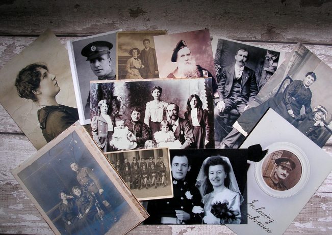 genealogy, family tree, lineage-5210251.jpg
